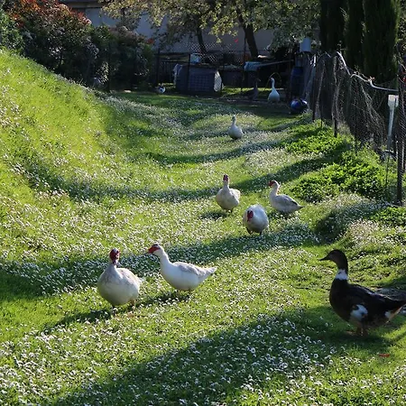 Agriturismo Il Parco Di Kipo Country house *