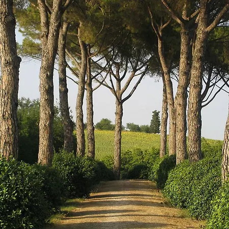 Casa di campagna Agriturismo Il Parco Di Kipo Montefano