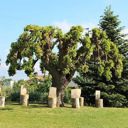 Agriturismo Il Parco Di Kipo Casa de Campo